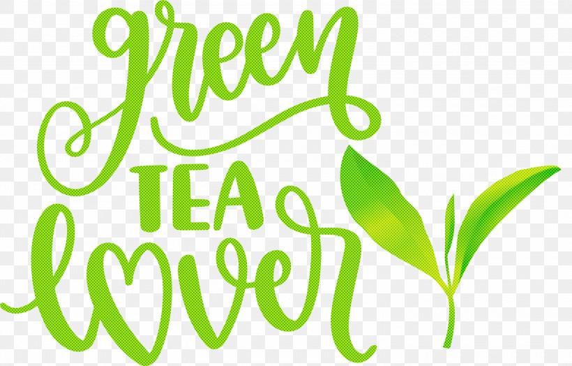 Green Tea Lover Tea, PNG, 3000x1918px, Tea, Coffee, Leaf, Logo, Menu Download Free