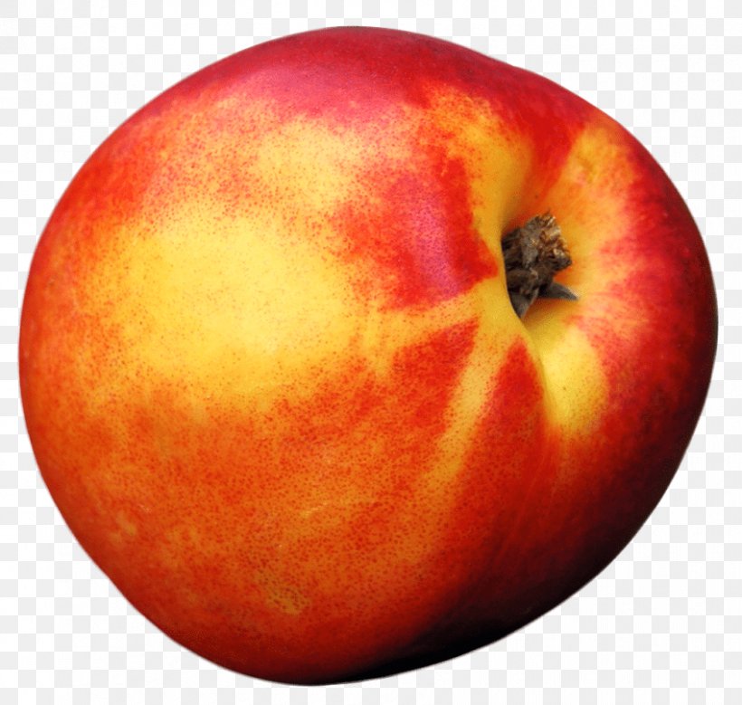 Peach Fruit, PNG, 850x808px, Peach, Apple, Apricot, Auglis, Food Download Free