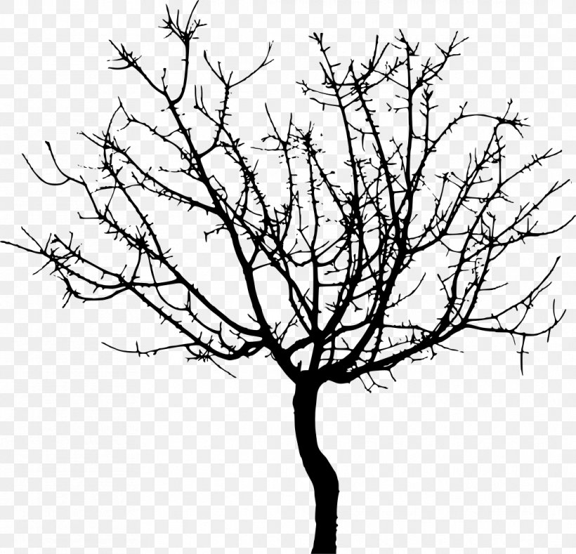 Twig Tree Clip Art, PNG, 1064x1024px, Twig, Black And White, Branch, Drawing, Flora Download Free