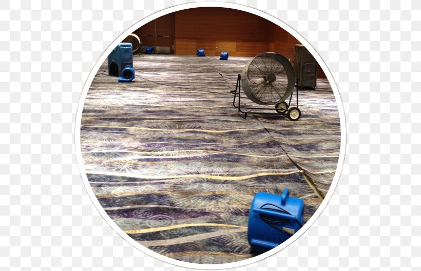 Water Damage Floor Carpet Cleaning, PNG, 534x528px, Water Damage, Building, Carpet, Carpet Cleaning, Cleaning Download Free