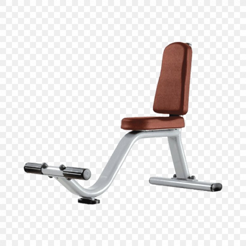 Bench Exercise Machine Fitness Centre Exercise Equipment, PNG, 1200x1200px, Bench, Barbell, Bench Press, Chair, Dumbbell Download Free