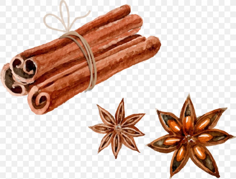 Euclidean Vector Watercolor Painting Star Anise, PNG, 1139x866px, Watercolor Painting, Bark, Cinnamomum Verum, Cinnamon, Copper Download Free