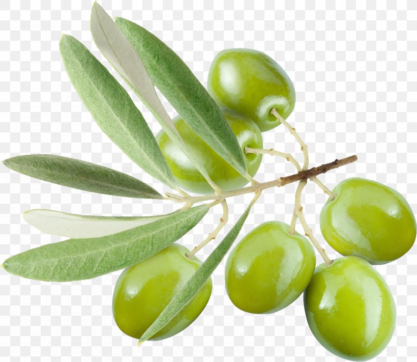 Olive Leaf Olive Oil, PNG, 1281x1111px, Olive, Food, Fruit, Ingredient, Oil Download Free