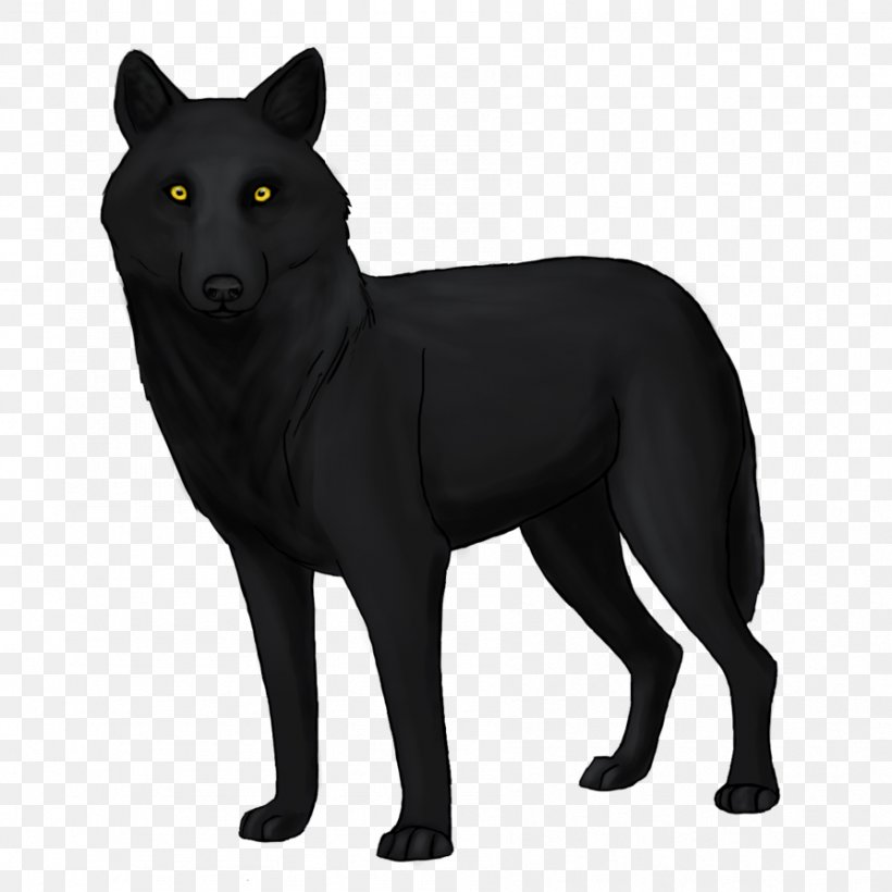 Schipperke Coyote Dog Breed Black Wolf Drawing, PNG, 894x894px, Schipperke, Black, Black Wolf, Carnivoran, Carnivores Download Free