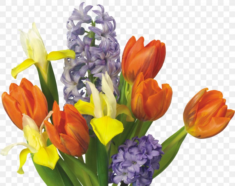 Tulip Flower Bouquet Cut Flowers, PNG, 2611x2073px, Tulip, Crocus, Cut Flowers, Floral Design, Floristry Download Free