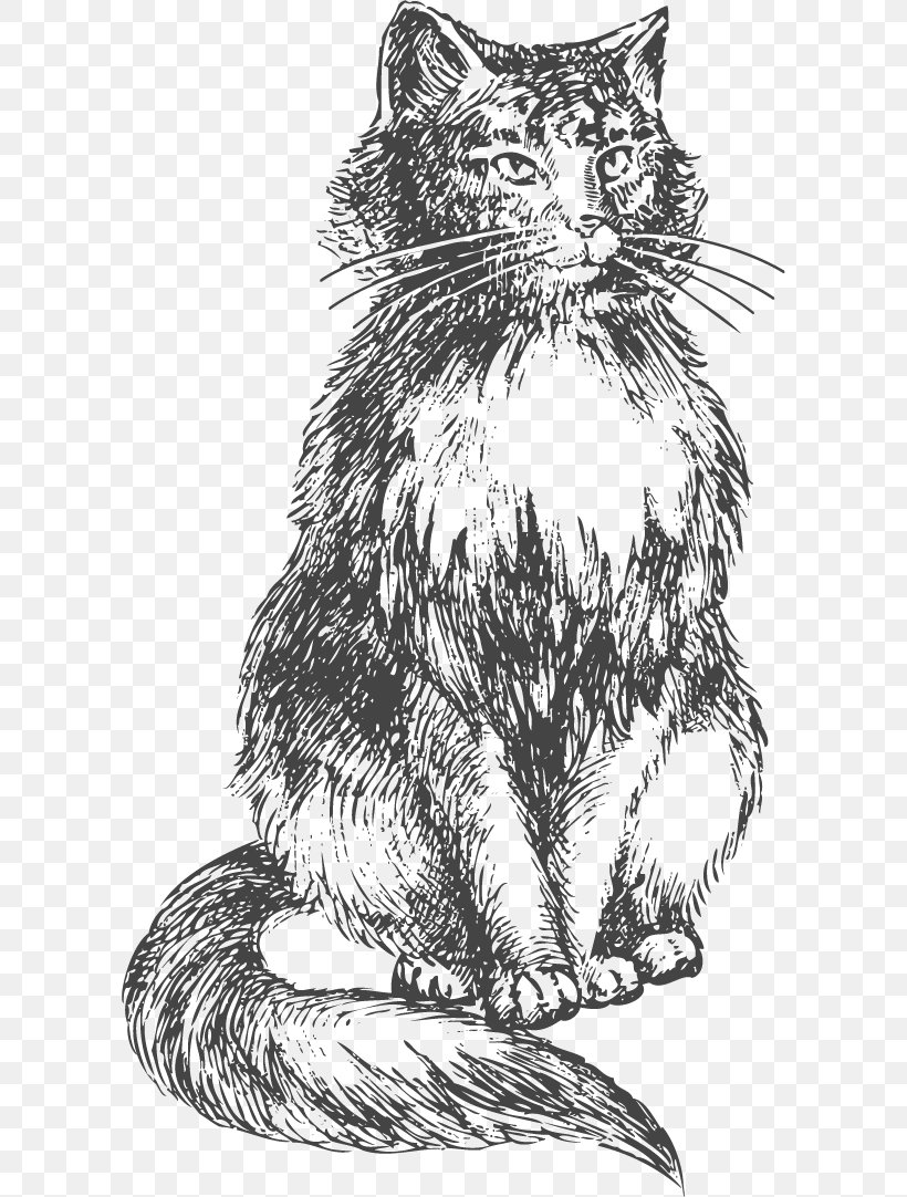 Bengal Cat Kitten Drawing Sketch, PNG, 600x1082px, Bengal Cat, Art, Black And White, Black Cat, Carnivoran Download Free