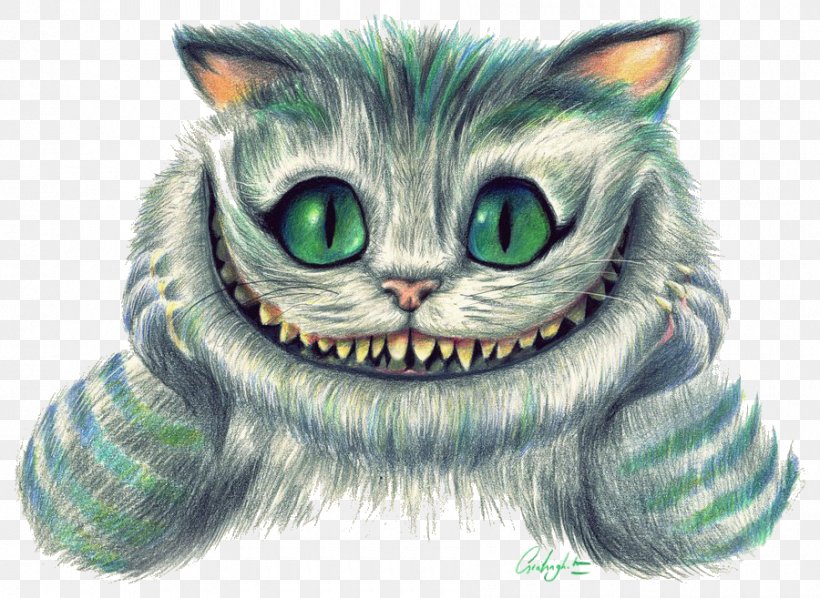 Cheshire Cat Alice's Adventures In Wonderland Queen Of Hearts White Rabbit, PNG, 900x657px, Cheshire Cat, Alice In Wonderland, Artwork, Carnivoran, Cat Download Free