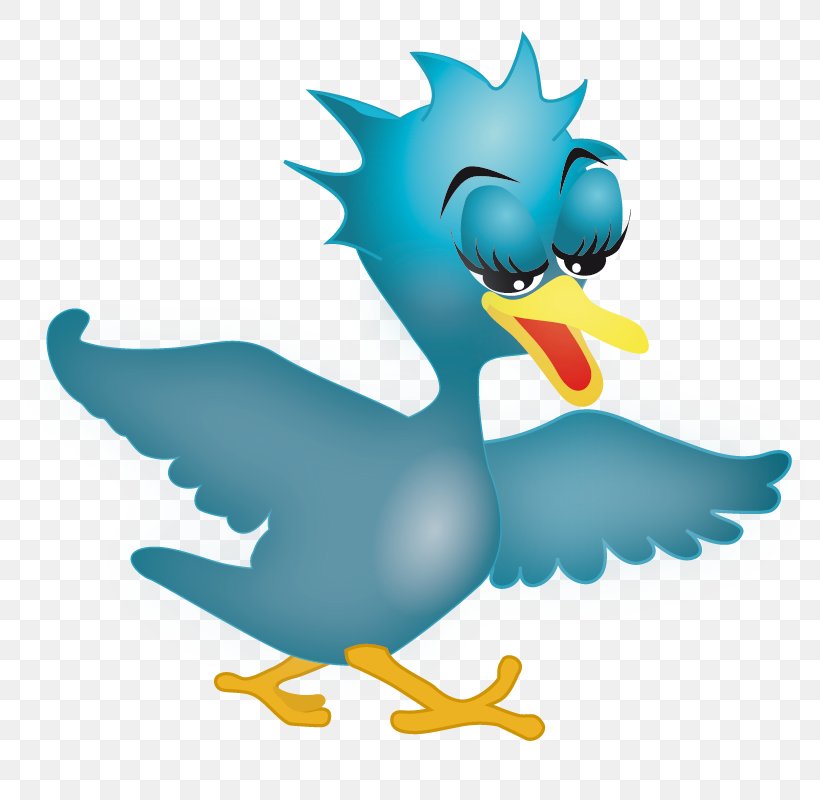 Clip Art, PNG, 800x800px, Blog, Avatar, Beak, Bird, Chicken Download Free