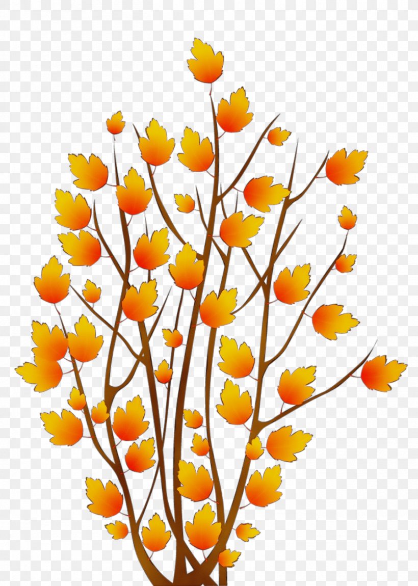 Orange, PNG, 1407x1974px, Watercolor, Branch, Cut Flowers, Flower, Leaf Download Free