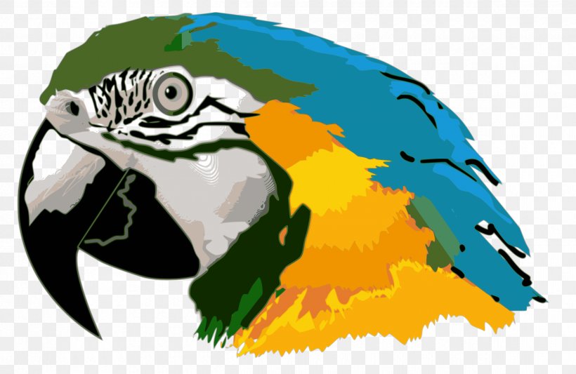 Parrot Bird Blue-and-yellow Macaw Clip Art, PNG, 2400x1561px, Parrot, Beak, Bird, Blueandyellow Macaw, Fauna Download Free