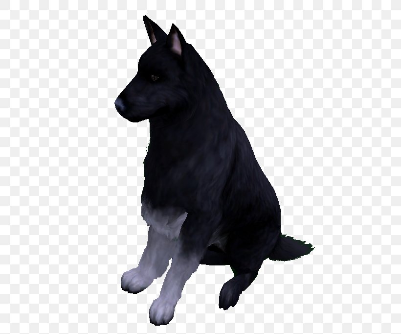 Schipperke Black Norwegian Elkhound Karelian Bear Dog Kunming Wolfdog, PNG, 564x682px, Schipperke, Bear, Black, Black Norwegian Elkhound, Breed Download Free