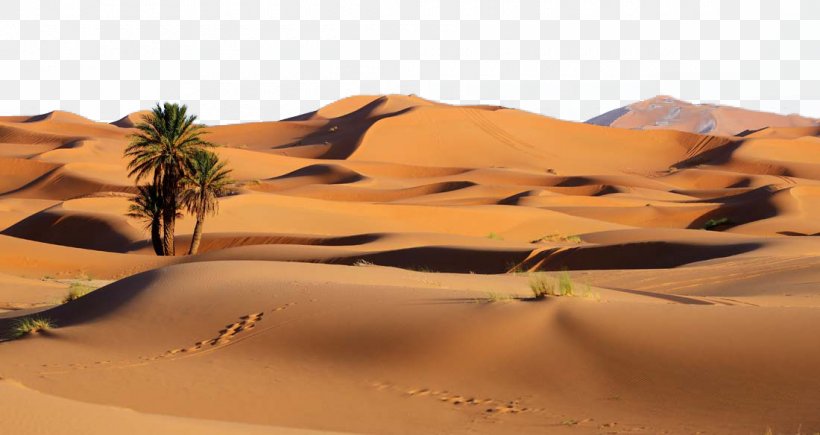 Sossusvlei Libyan Desert Dune Landscape, PNG, 1100x584px, Sossusvlei, Aeolian Landform, Desert, Dune, Erg Download Free