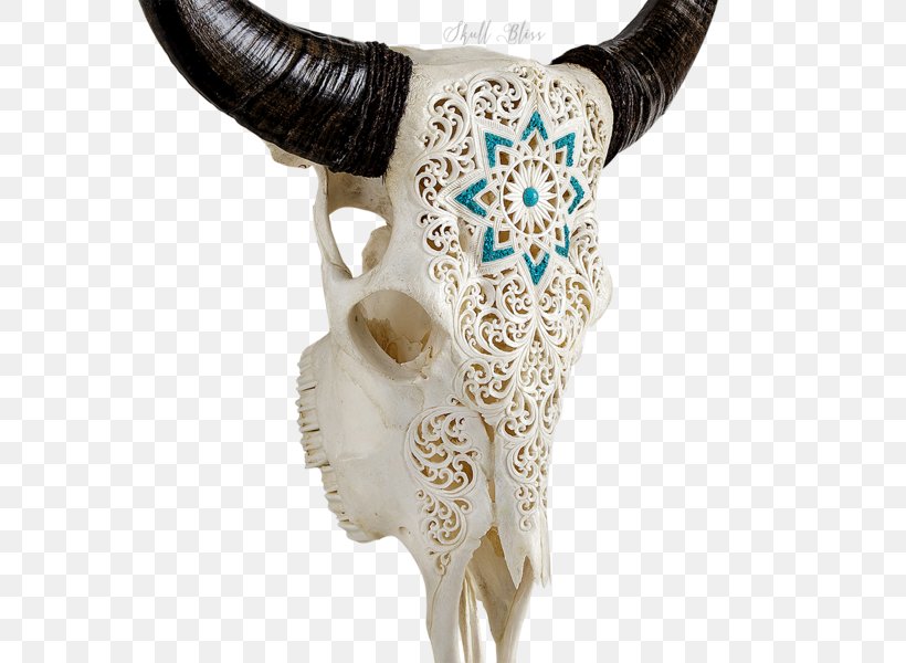 Animal Skulls Horn Antler Cattle, PNG, 600x600px, Skull, American Bison, Animal, Animal Skulls, Antler Download Free
