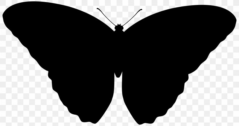 Brush-footed Butterflies Font Silhouette M. Butterfly, PNG, 8000x4221px, Brushfooted Butterflies, Blackandwhite, Brushfooted Butterfly, Butterfly, Insect Download Free