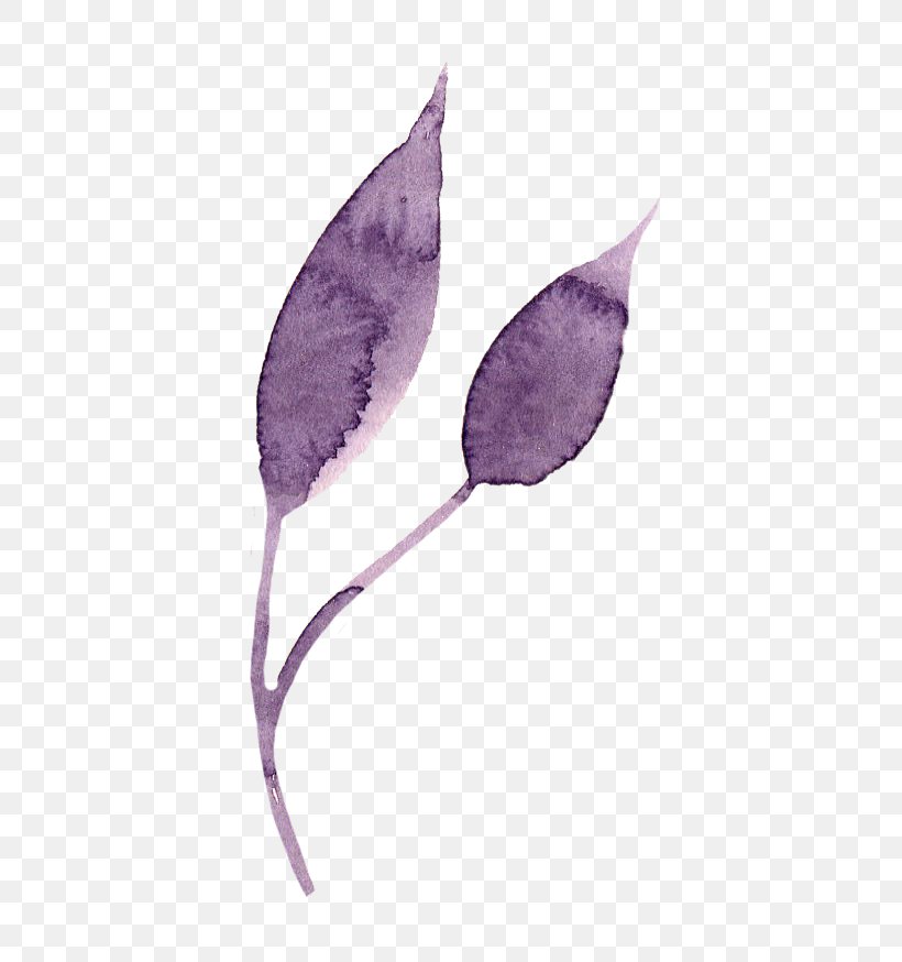 Purple Leaf Petal, PNG, 476x874px, Purple, Flower, Google Images, Jpeg Network Graphics, Leaf Download Free