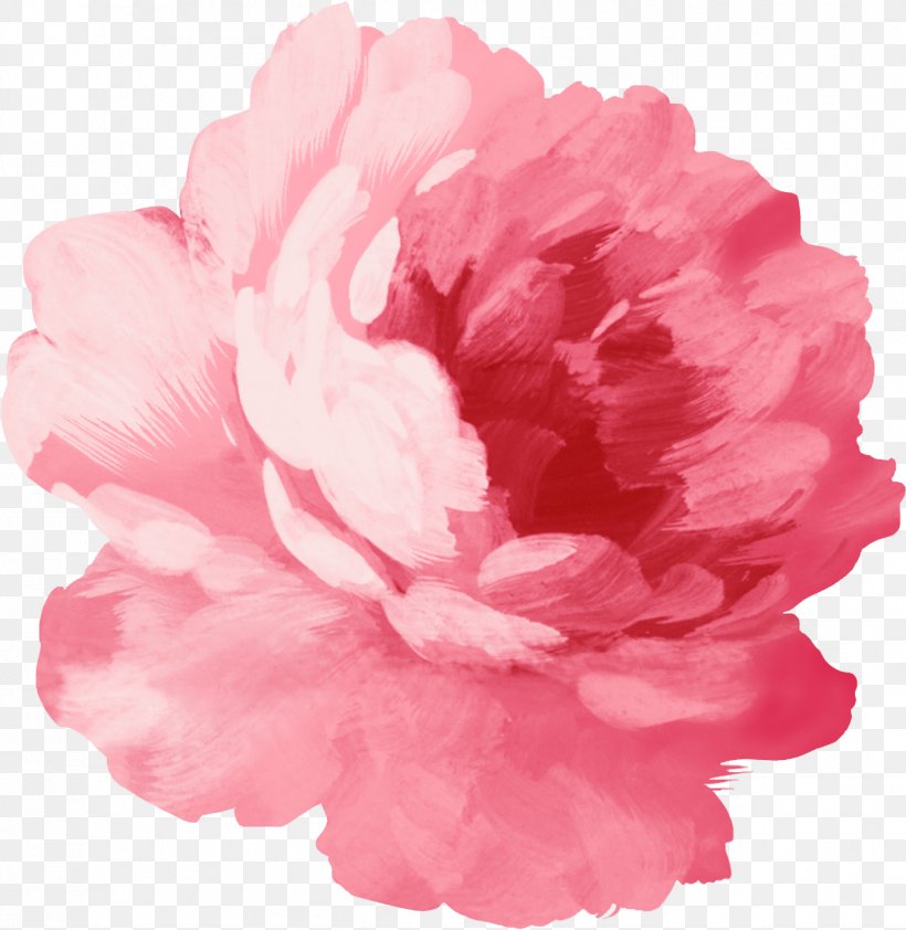 Sticker Pink Flowers Wall Decal, PNG, 1352x1389px, Sticker, Azalea, Carnation, Color, Drawing Download Free