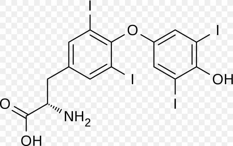 Thyroid Hormones Pharmaceutical Drug Chemical Compound Desiccated Thyroid Extract, PNG, 1064x666px, Thyroid Hormones, Area, Black And White, Brand, Brown Adipose Tissue Download Free