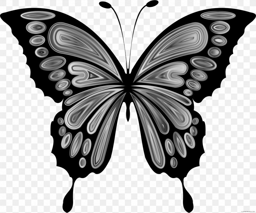 Butterfly Clip Art Insect Openclipart Image, PNG, 2326x1940px, Butterfly, Arthropod, Black And White, Borboleta, Brush Footed Butterfly Download Free