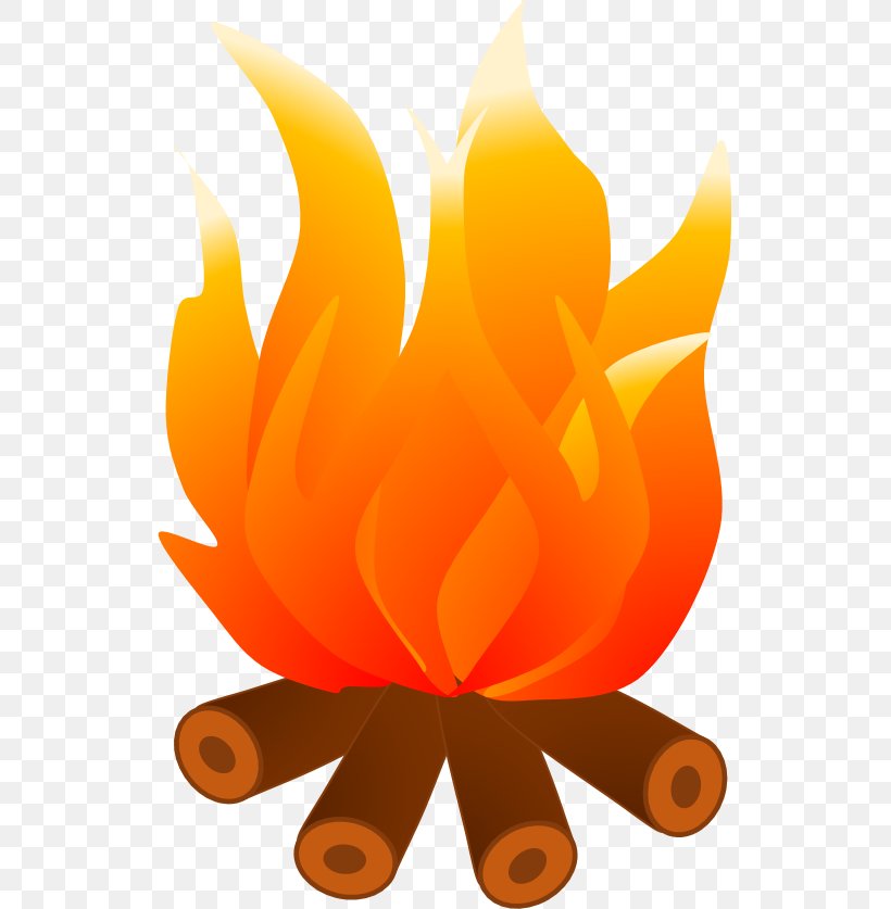 Campfire Flame Clip Art, PNG, 529x837px, Fire, Bonfire, Campfire, Cartoon, Colored Fire Download Free