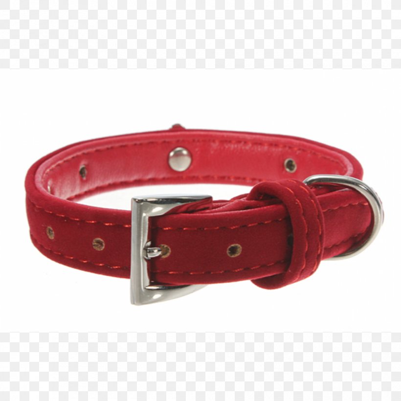 Dog Collar Cat Strap, PNG, 980x980px, Collar, Belt, Belt Buckle, Belt Buckles, Buckle Download Free