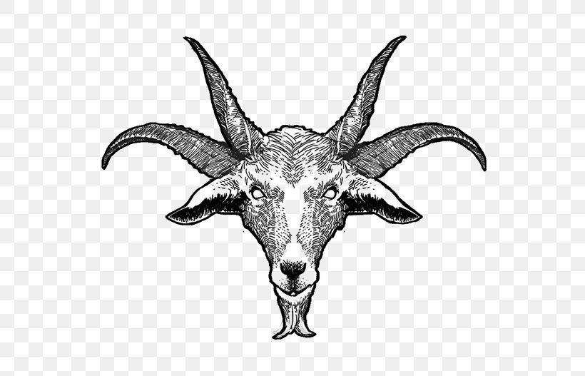 Goat Cattle Horn Skull Wildlife, PNG, 600x527px, Goat, Behance, Black And White, Cattle, Cattle Like Mammal Download Free