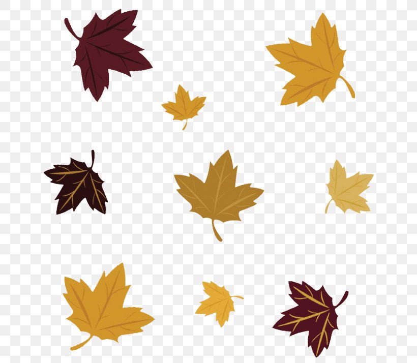 Maple Leaf, PNG, 768x714px, Leaf, Black Maple, Deciduous, Maple, Maple Leaf Download Free