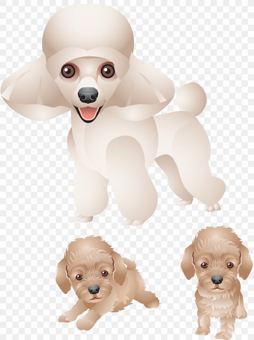 Poodle Dog Breed Puppy Companion Dog Clip Art, PNG, 3750x5029px, Poodle, Carnivoran, Companion Dog, Dog, Dog Breed Download Free