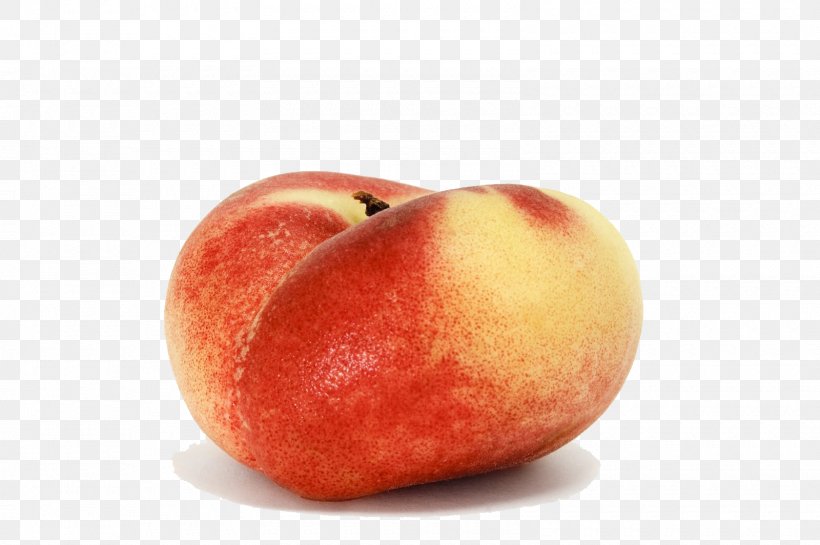 Saturn Peach Fruit Plum Nectarine, PNG, 1600x1064px, Saturn Peach, Apple, Apricot, Cherry, Diet Food Download Free