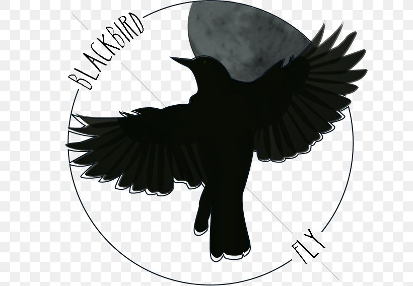 Blackbird Art Drawing Northern Flicker The Beatles, PNG, 640x568px, Blackbird, American Crow, Art, Artist, Arts Download Free