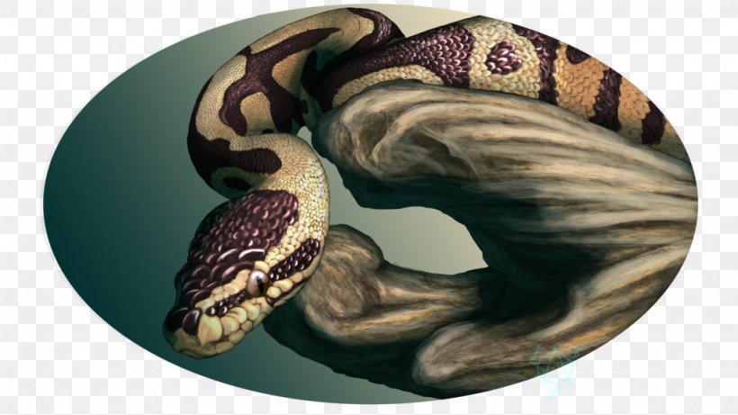 Boa Constrictor Drek'Thar Ball Python Serpent Art, PNG, 1024x576px, Boa Constrictor, Alloy, Art, Ball Python, Boas Download Free