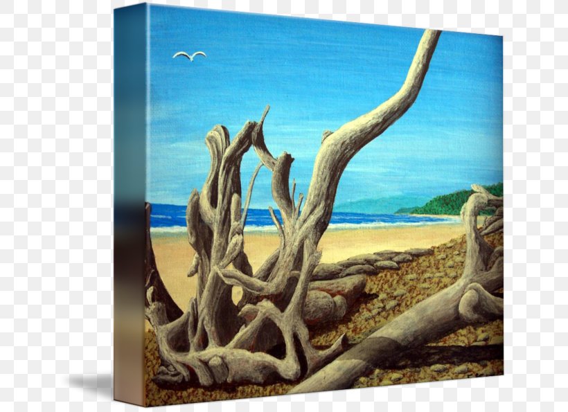 Driftwood Wildlife Fauna Stock Photography Painting, PNG, 650x595px, Driftwood, Antler, Fauna, Horn, Organism Download Free