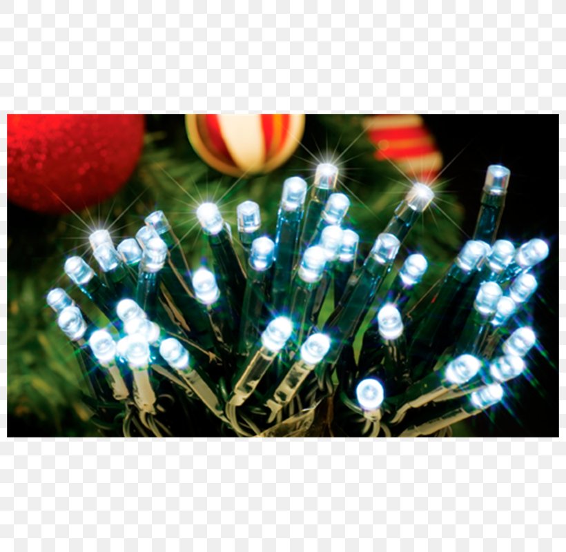 Light-emitting Diode Landscape Lighting Christmas Lights, PNG, 800x800px, Light, Blacklight, Christmas, Christmas Decoration, Christmas Lights Download Free