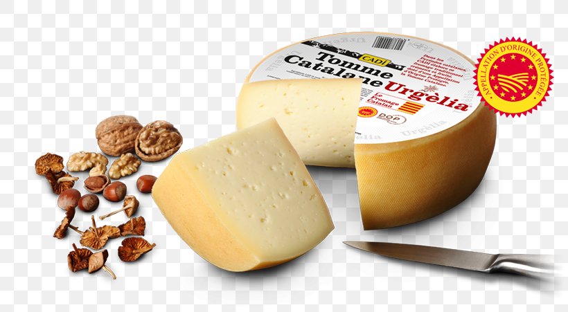 Milk Parmigiano-Reggiano Cheese Butter Alt Urgell Eta Cerdanyako Gazta, PNG, 820x451px, Milk, Butter, Buttermilk, Cheese, Cream Download Free