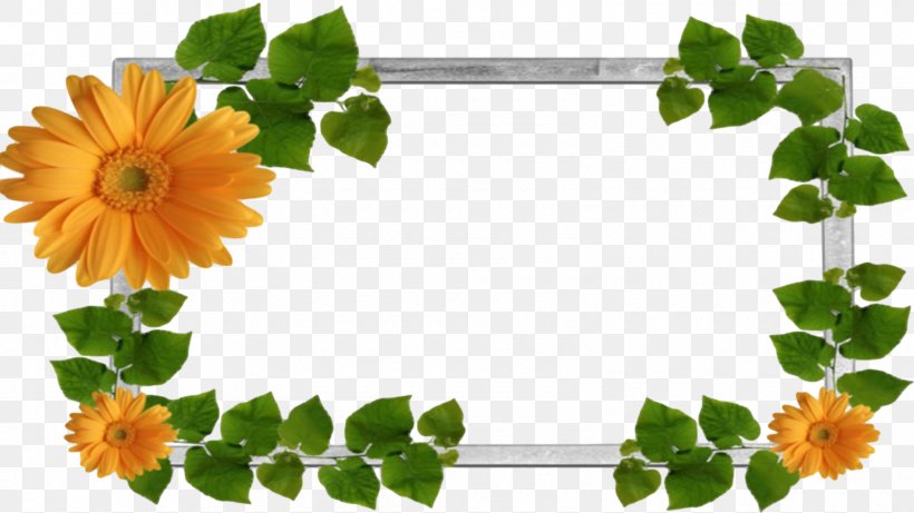 Picture Frames Download Clip Art, PNG, 1600x900px, Picture Frames, Android, Annual Plant, Collage, Decorative Arts Download Free