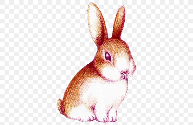 Rabbit Watercolor Painting, PNG, 511x533px, Rabbit, Computer Graphics, Domestic Rabbit, Drawing, Easter Bunny Download Free