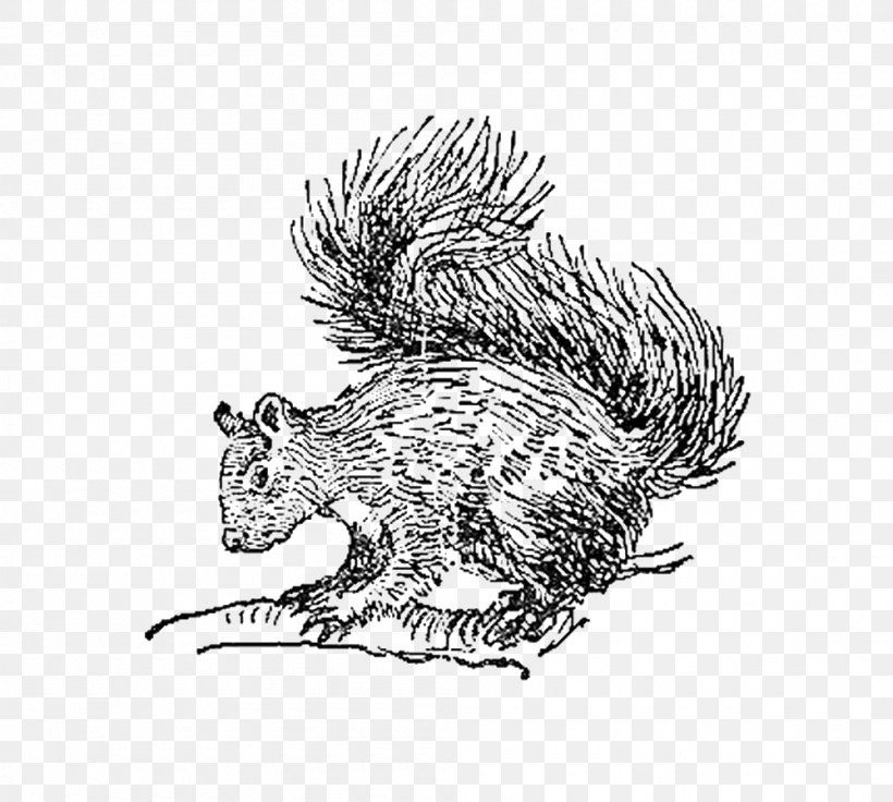 Squirrel Digital Stamp Whiskers Clip Art Postage Stamps, PNG, 1000x898px, Squirrel, Antique, Beaver, Bird, Black And White Download Free