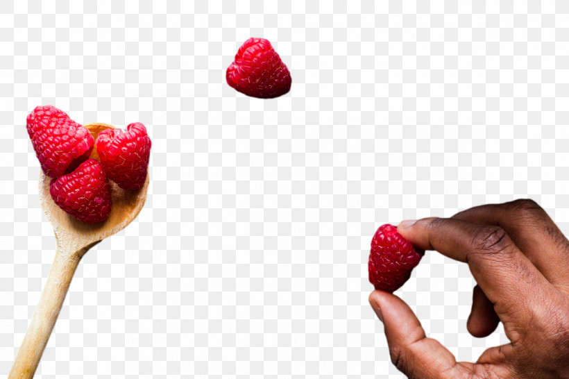 Strawberry, PNG, 1200x800px, Strawberry, Berry, Dessert, Flavor, Frozen Dessert Download Free