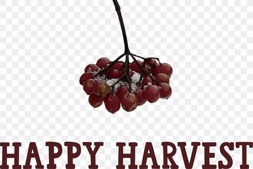 Happy Harvest Harvest Time, PNG, 3000x2007px, Happy Harvest, Berry, Caesar Salad, Cake, Drawing Download Free