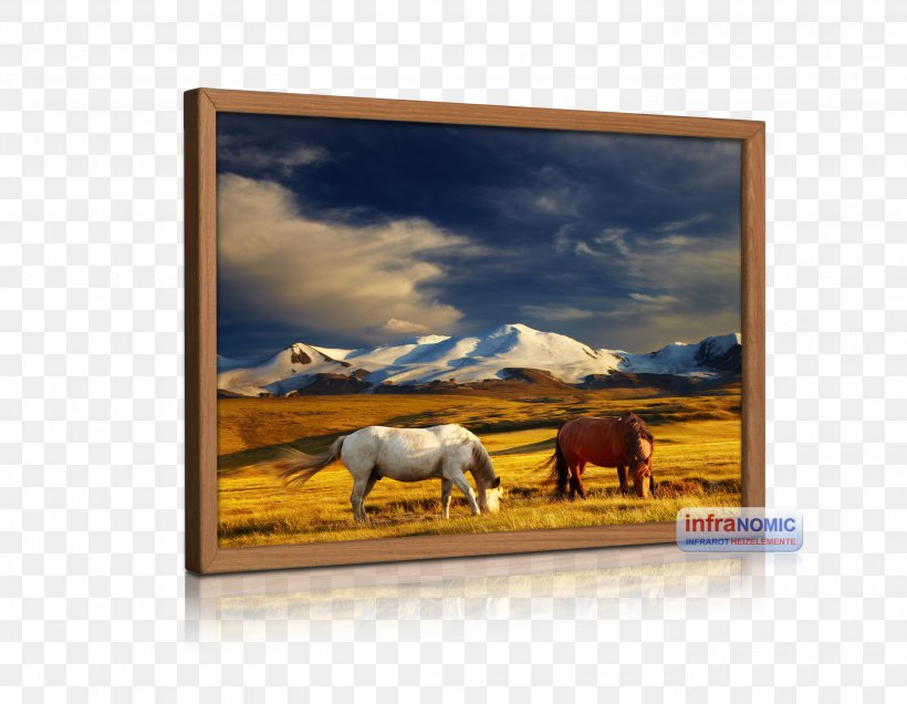 Mongolia Stock Photography Horse Canvas Print, PNG, 2760x2142px, Mongolia, Art, Canvas, Canvas Print, Horse Download Free