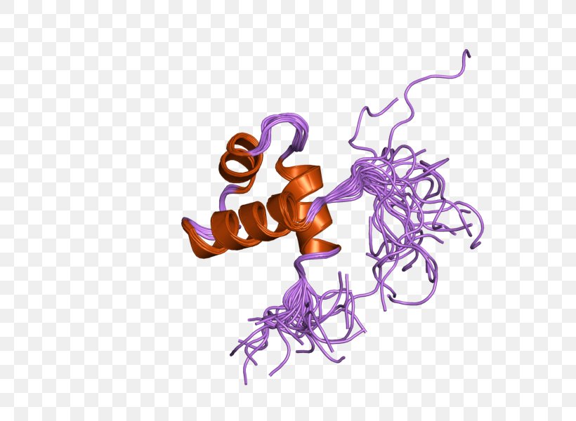 MYBL2 Organism Gene Font, PNG, 800x600px, Organism, Gene, Homo Sapiens, Protein, Purple Download Free