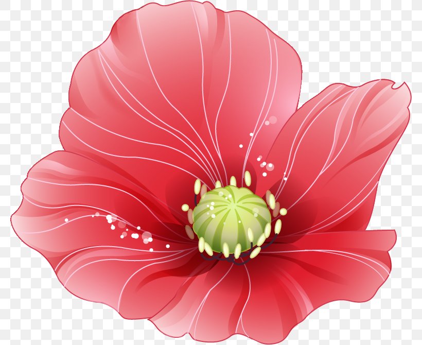 White Desktop Wallpaper 千図網 Petal, PNG, 780x670px, White, Bar Chart, Cut Flowers, Flower, Flowering Plant Download Free