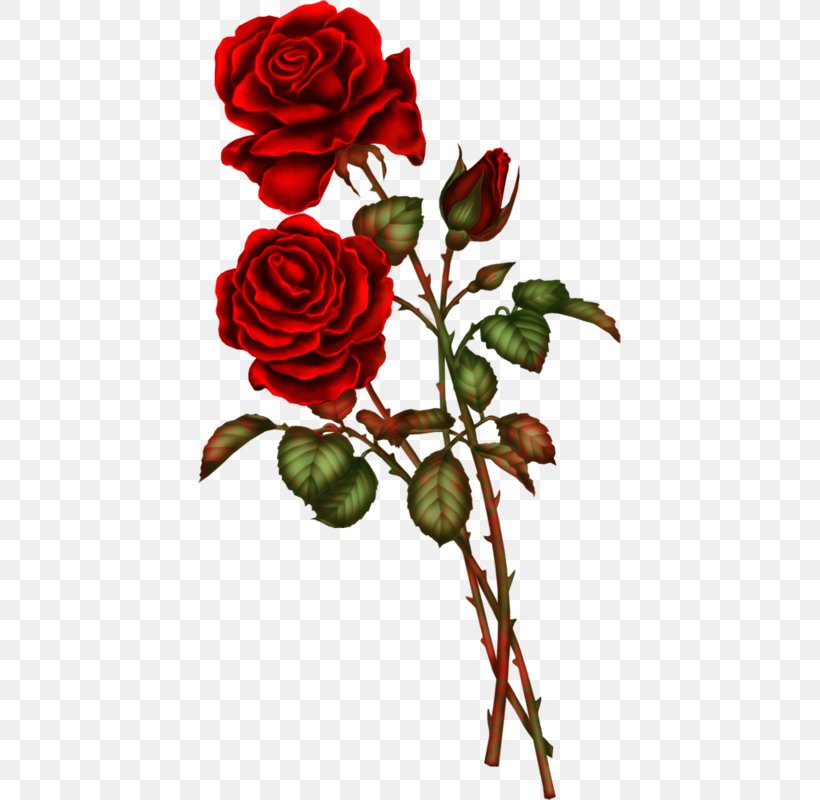 Artificial Flower Rose Floral Design, PNG, 423x800px, Flower, Artificial Flower, Cut Flowers, Flora, Floral Design Download Free