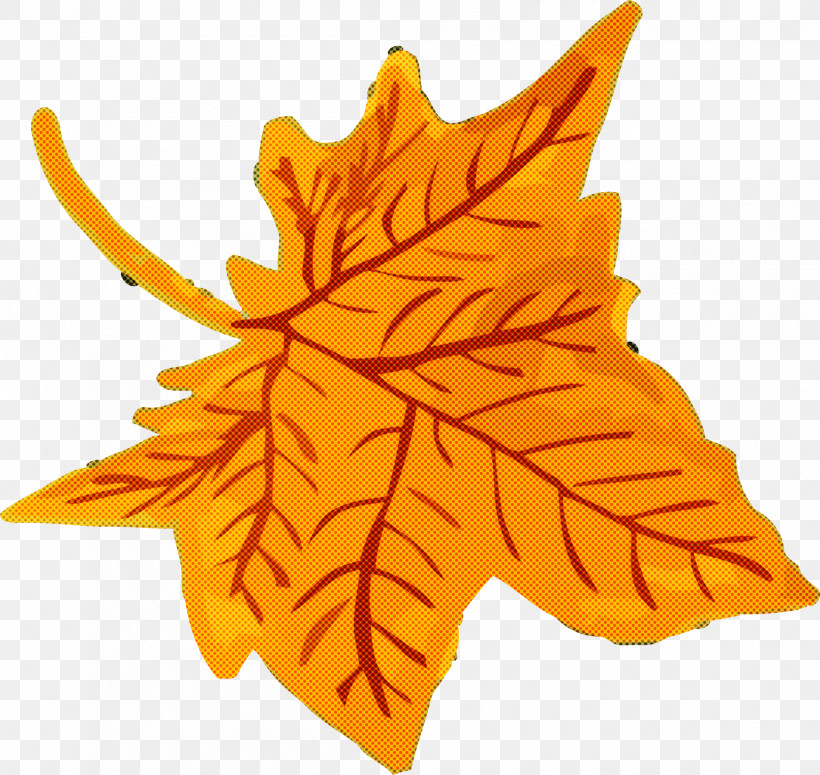 Autumn Leaf Yellow Leaf Leaf, PNG, 2395x2264px, Autumn Leaf, Black Maple, Flower, Leaf, Maple Leaf Download Free