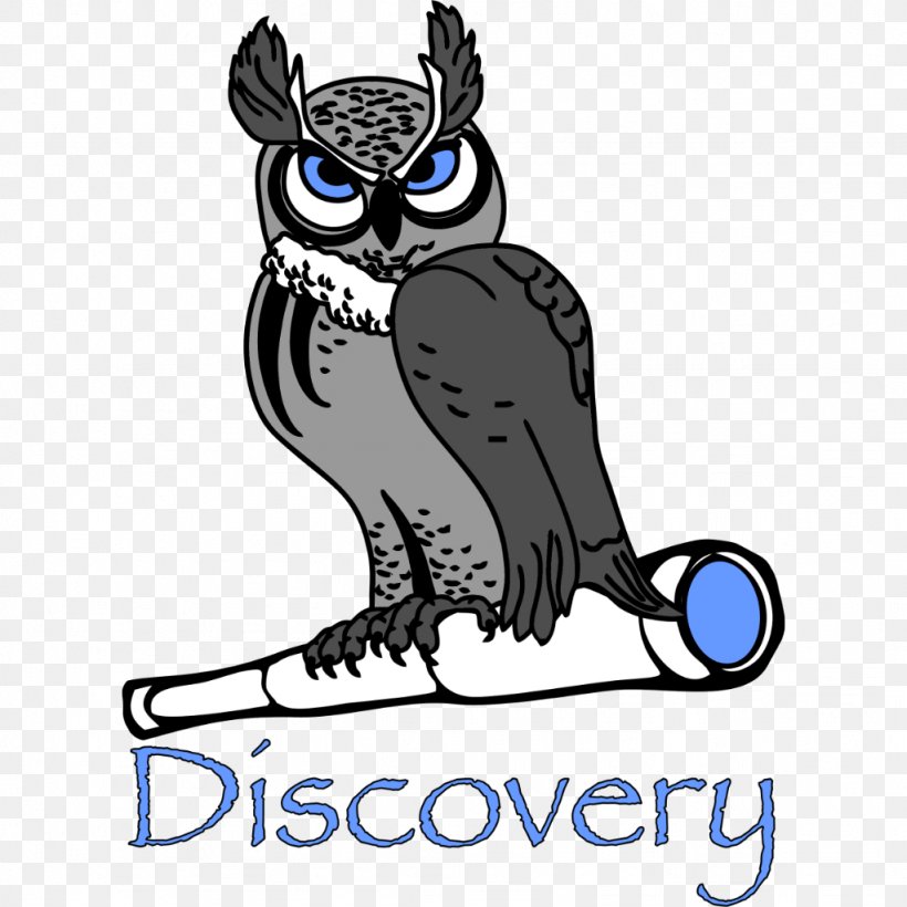 Discovery Charter School, PNG, 1024x1024px, School, Academy, Artwork, Beak, Bird Download Free