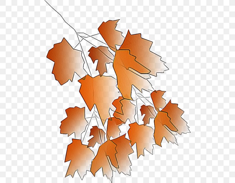 Maple Leaf, PNG, 510x640px, Leaf, Black Maple, Maple Leaf, Orange, Plane Download Free