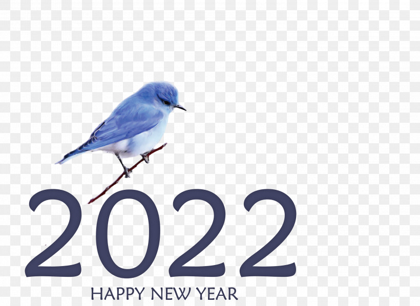 2022 Happy New Year 2022 New Year 2022, PNG, 2999x2189px, Birds, Beak, Biology, Feather, Meter Download Free