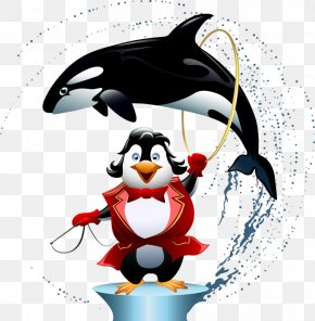 Dolphins And Penguins - Albom Album Internet Clip Art PNG