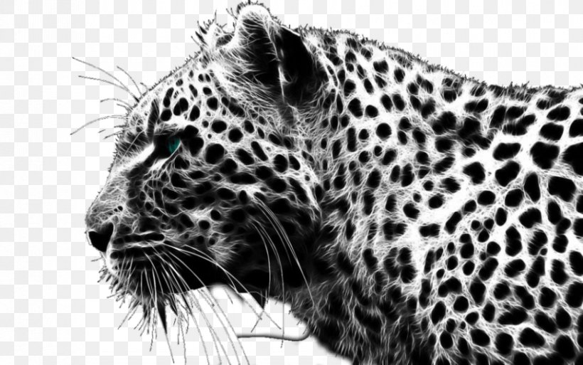 Cheetah Clip Art, PNG, 850x532px, Cheetah, Big Cats, Black And White, Carnivoran, Cat Like Mammal Download Free