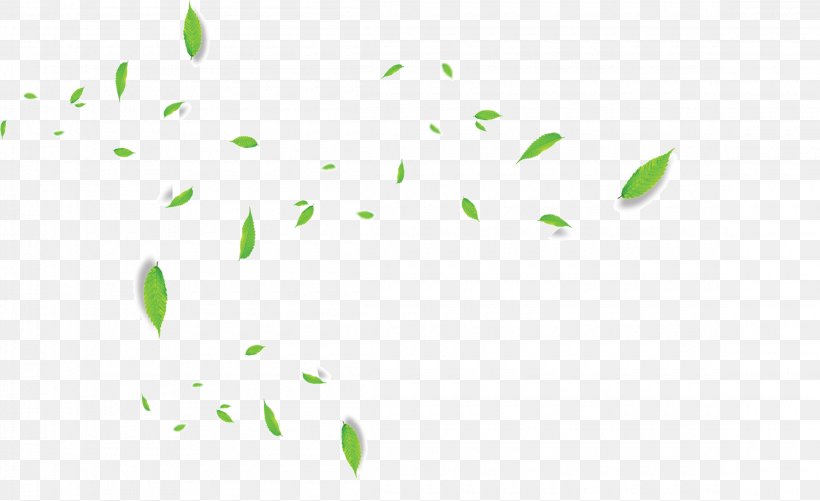 Clip Art Desktop Wallpaper Leaf Computer Plant Stem, PNG, 2300x1406px, Leaf, Computer, Green, Plant, Plant Stem Download Free