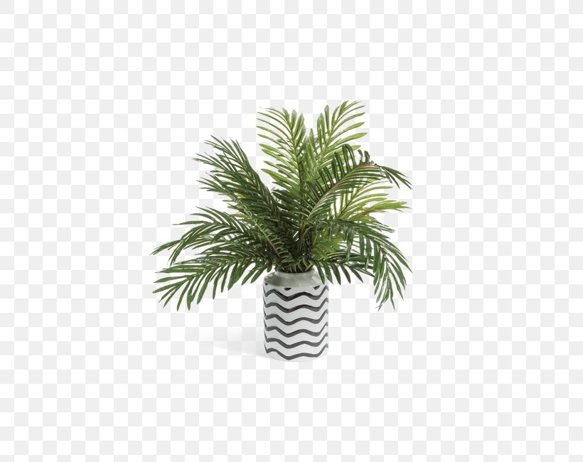 Date Palm Vase Arecaceae Flowerpot Houseplant, PNG, 650x650px, Date Palm, Arecaceae, Arecales, Ceramic, Date Palms Download Free